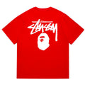 Pigment Dyed Tee N708276